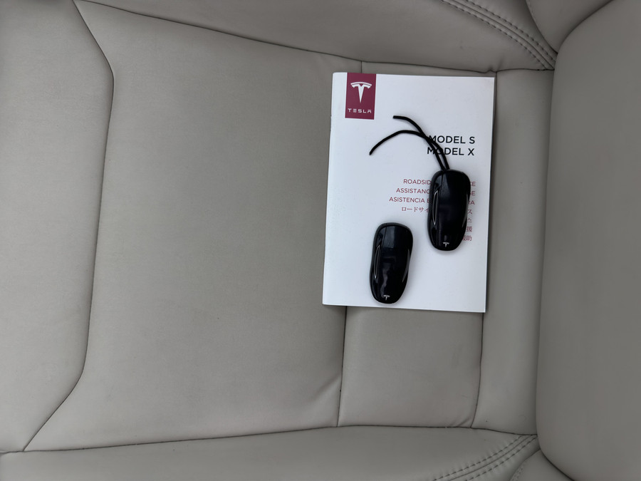 Tesla Model S 100D (3-Fase-17kW) {SoH-87%}