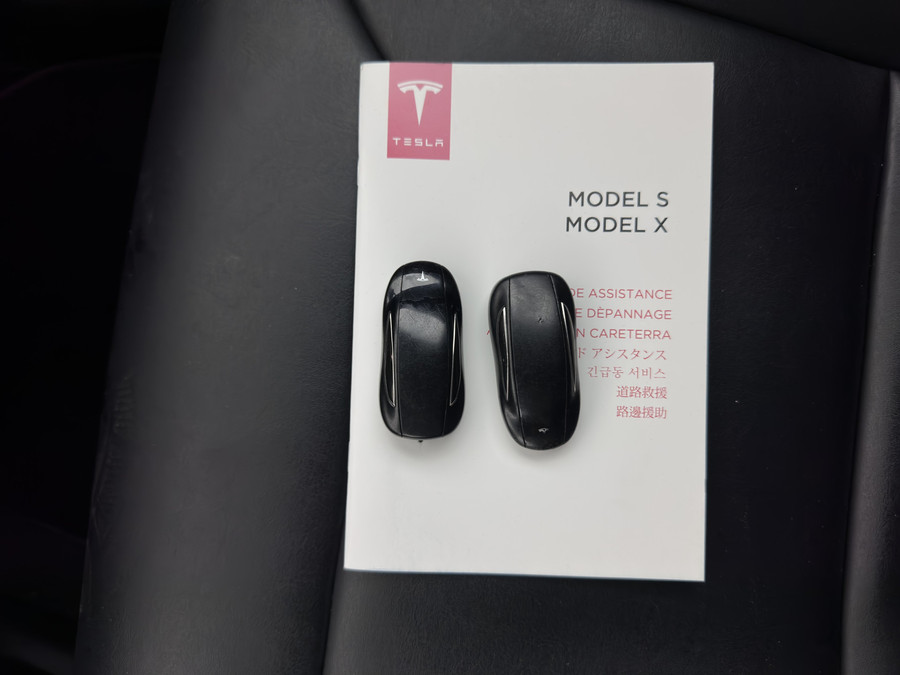 Tesla Model X 100D [3-Fase-17kW]