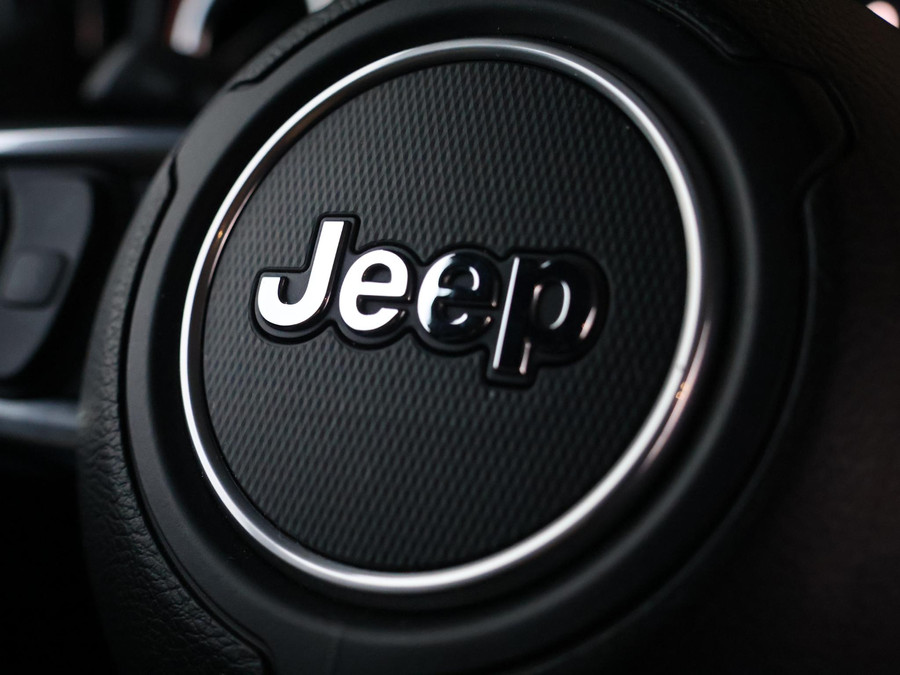 Jeep Wrangler 2.0T Rubicon VAN