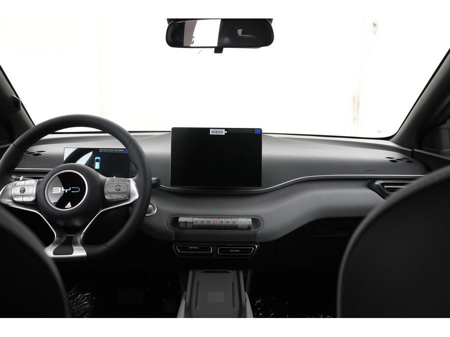 BYD DOLPHIN SURF 15 STUKS!!! Comfort 43 kWh