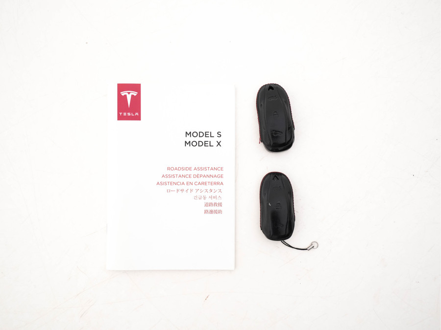 Tesla Model X 100D AWD [ 3-Fase ]